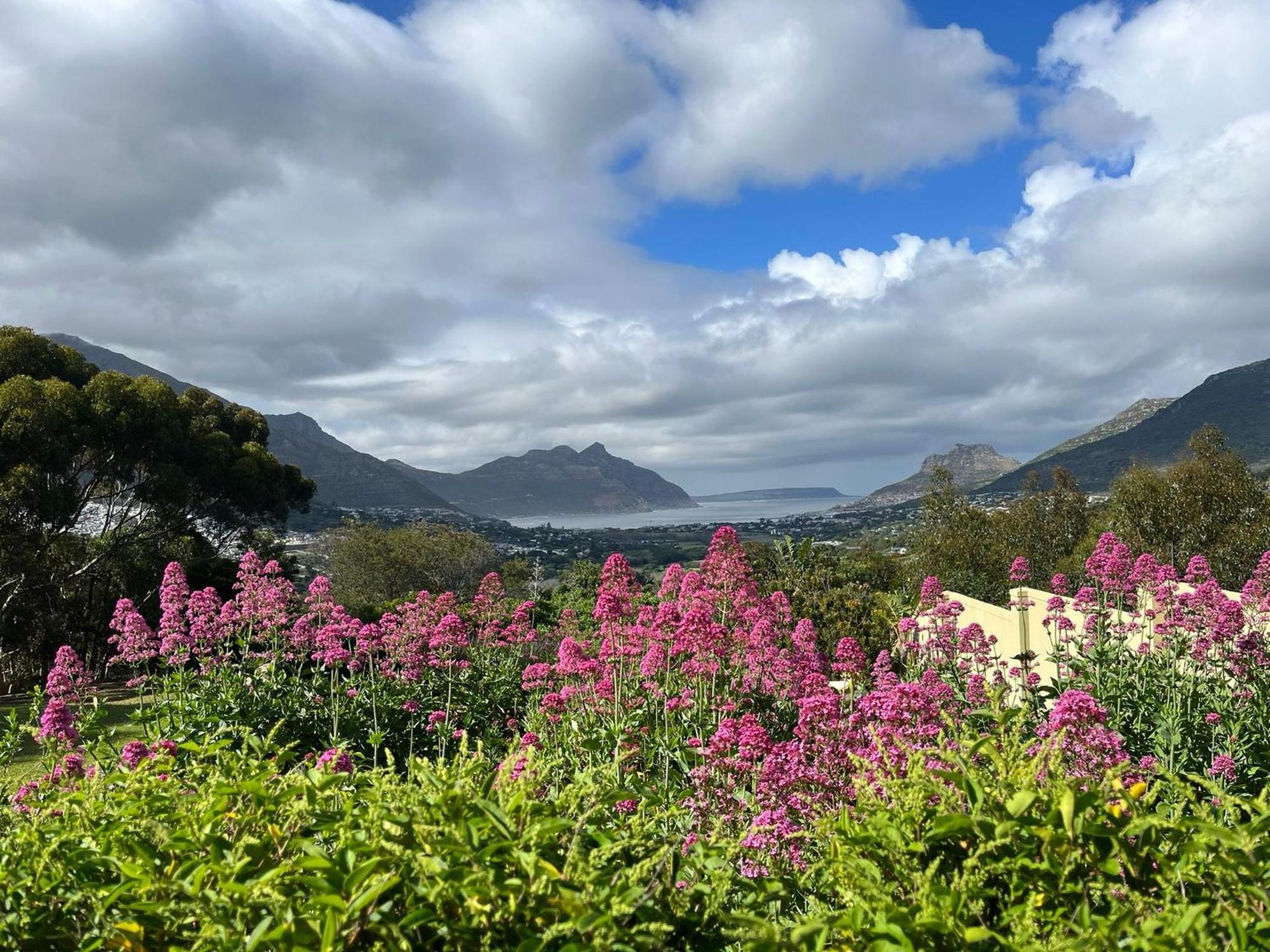 Pure Guest House Hout Bay Esterno foto