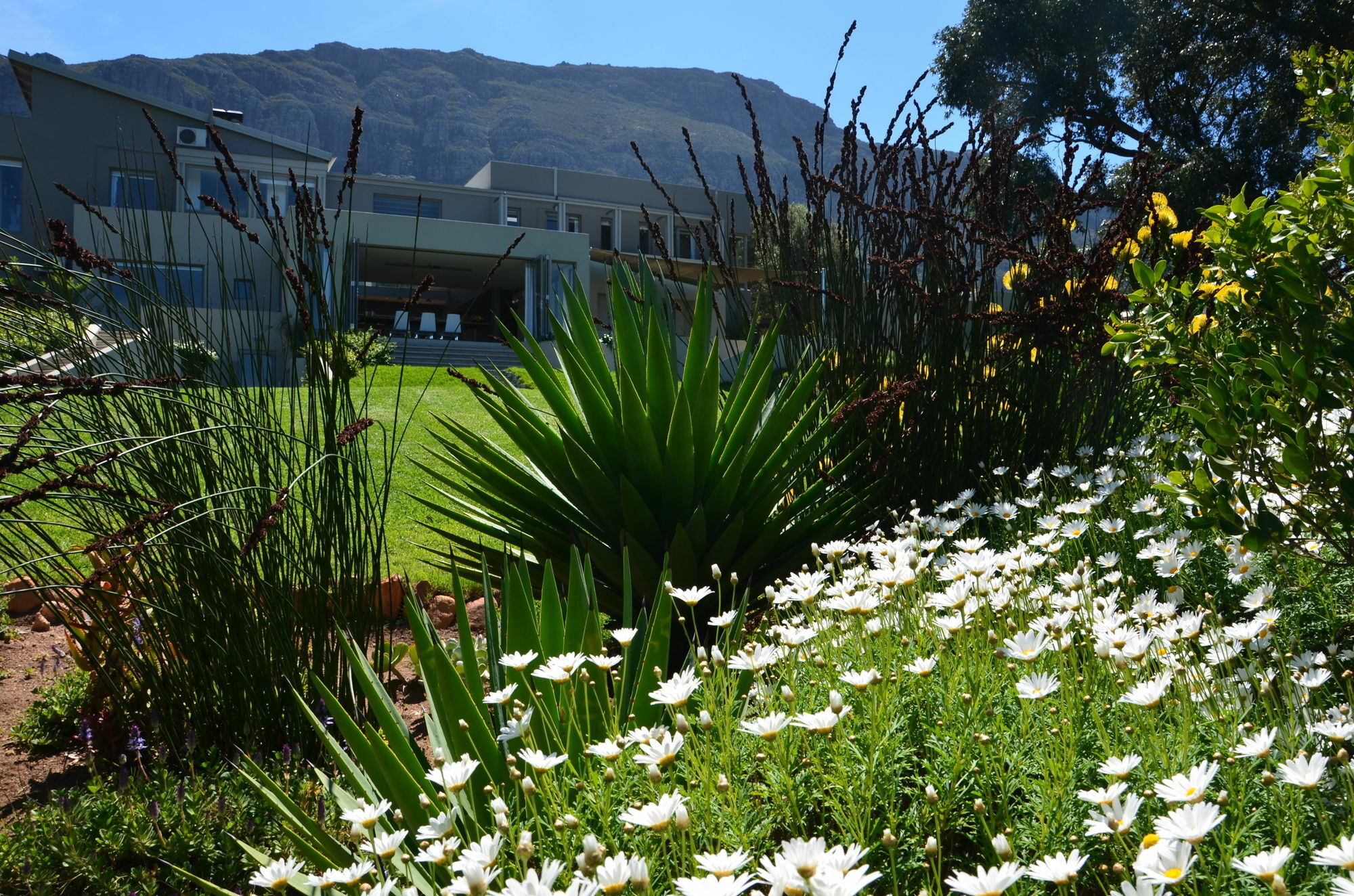 Pure Guest House Hout Bay Esterno foto